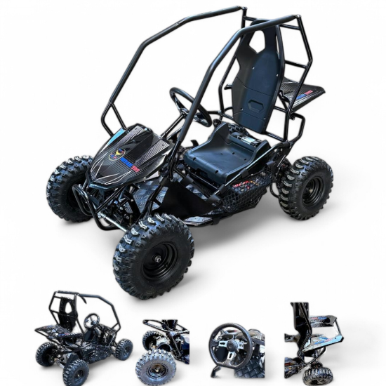 صورة سيارة بقي الكهربائية الوسط 36v